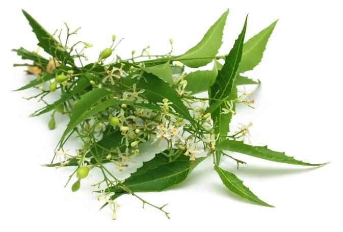 Neem